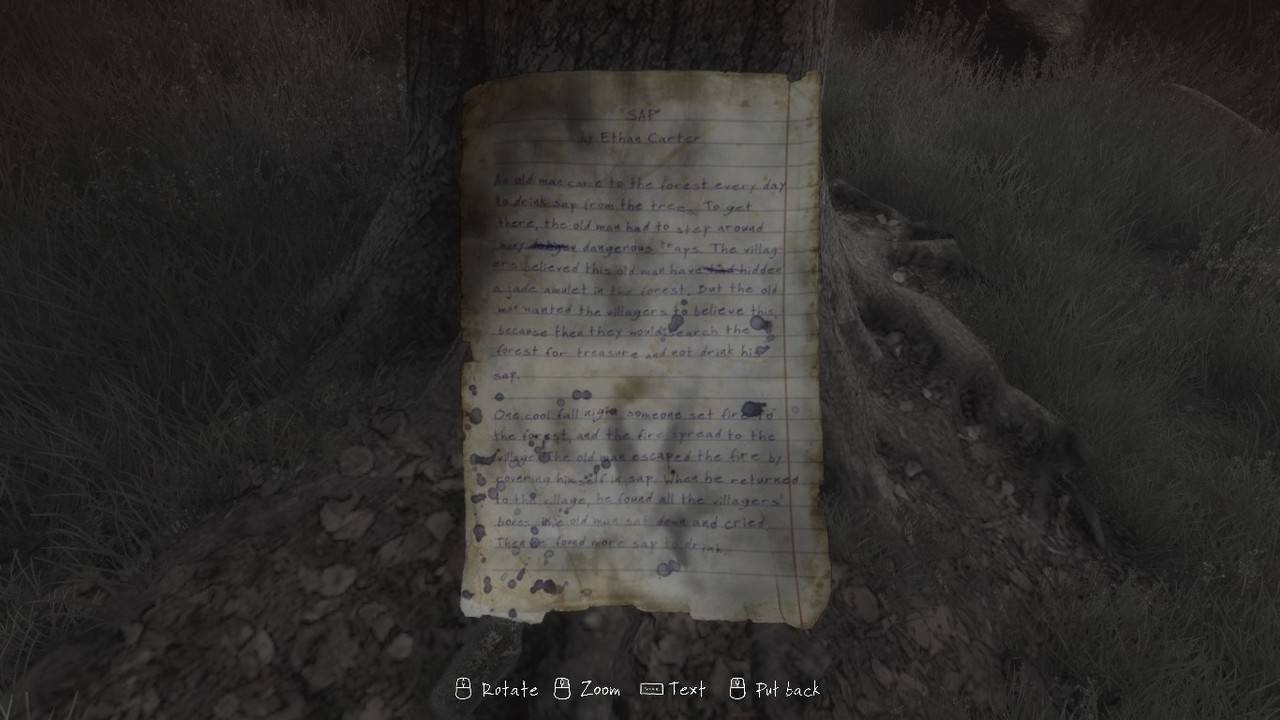 the-vanishing-of-ethan-carter (4)