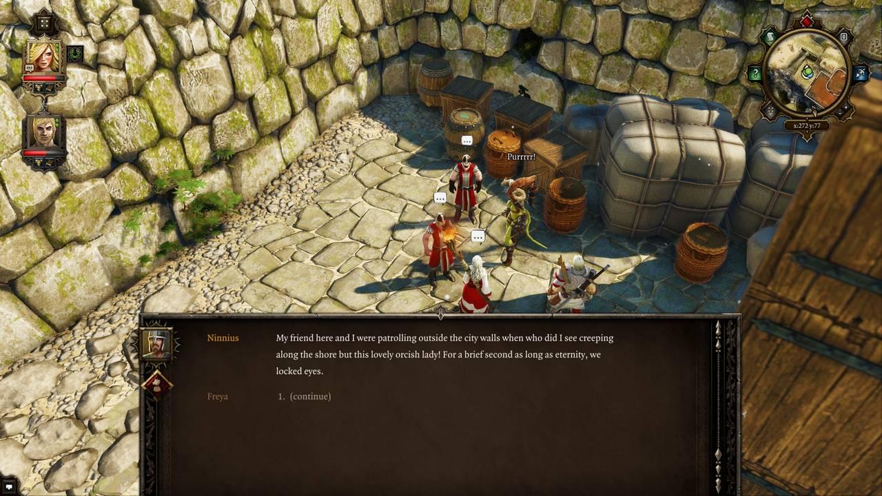 Divinity: Original Sin Enhanced Edition