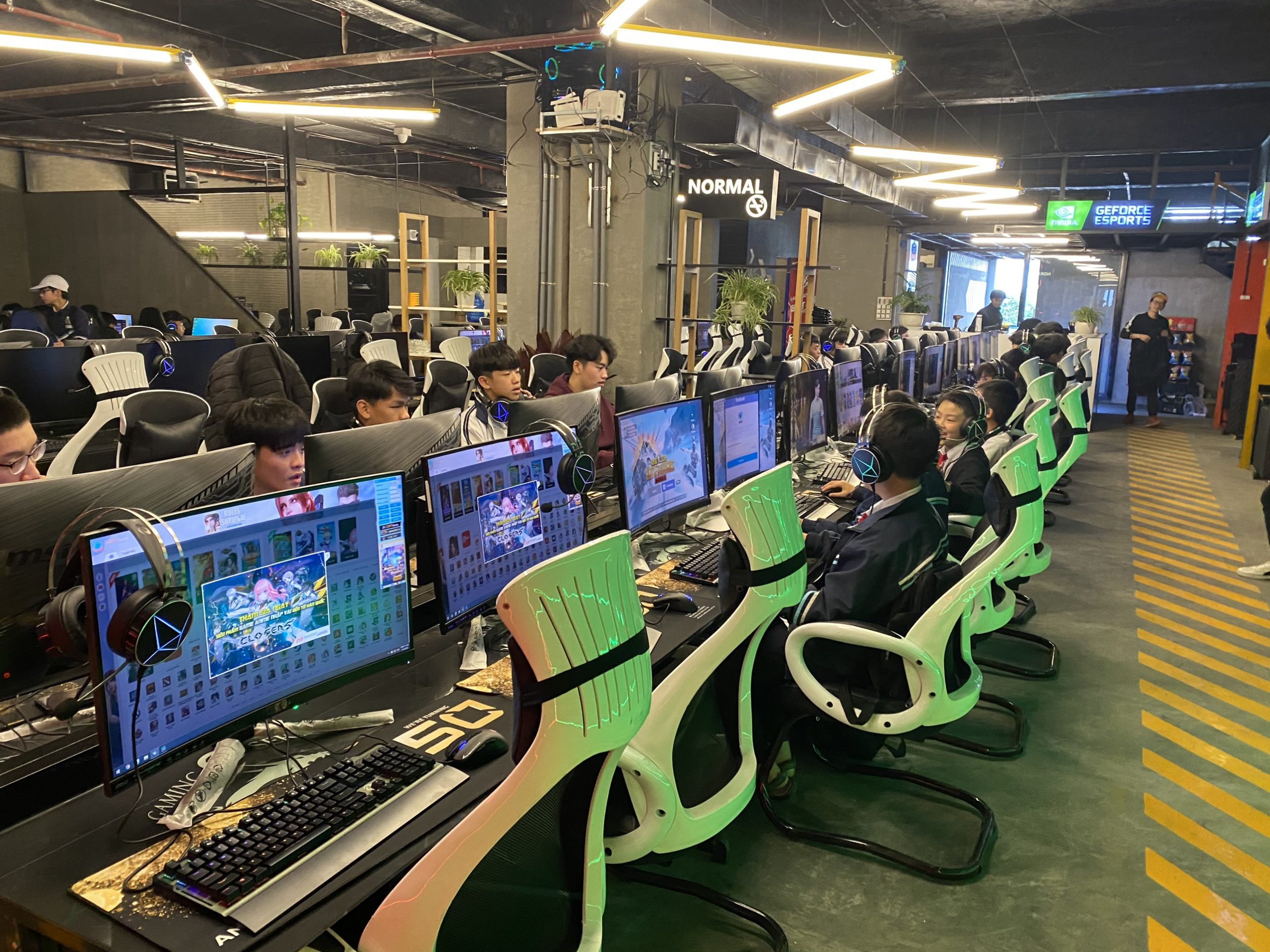Gaming Gang