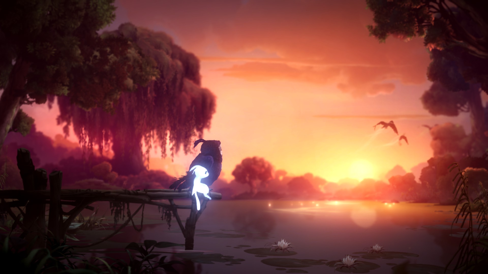 Will of the Wisps