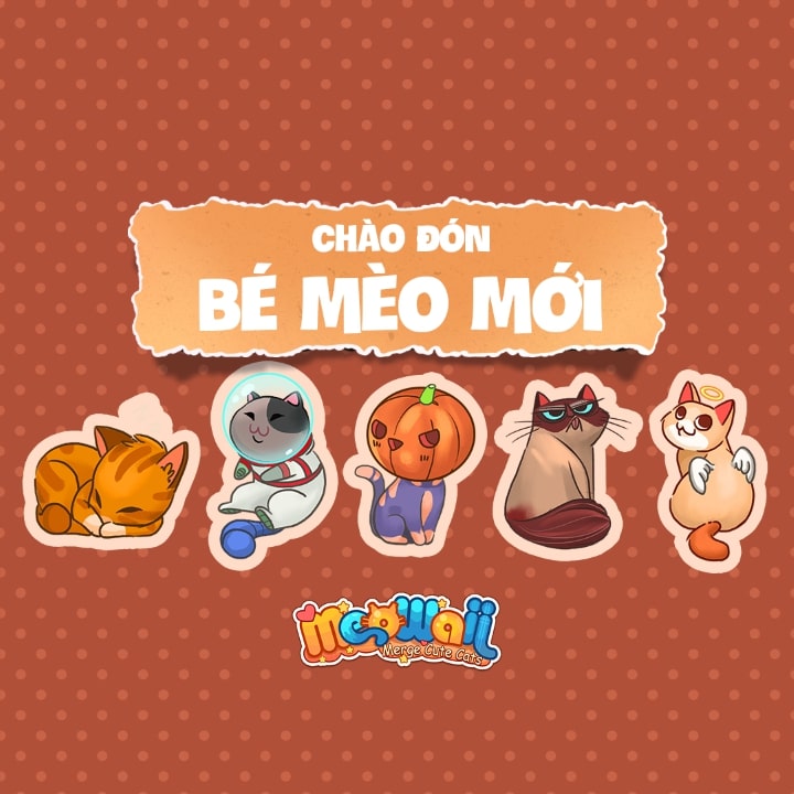 Meowaii
