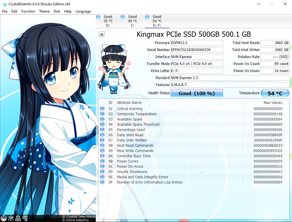 Kingmax PX4480 512GB - Đánh Giá Nhanh