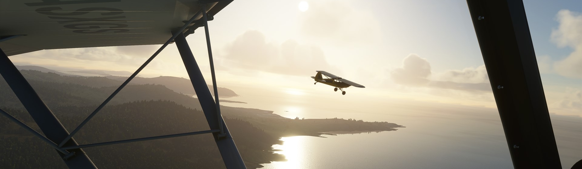 Microsoft Flight Simulator