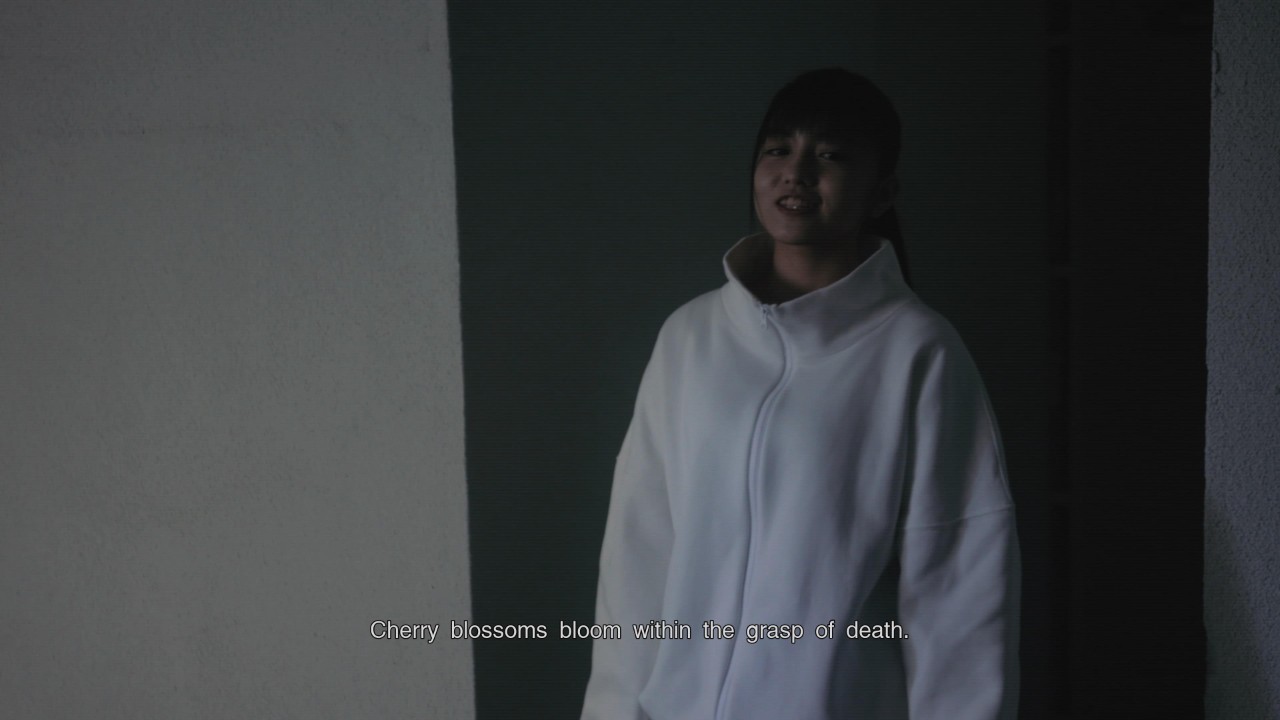 Silent Hill: The Short Message