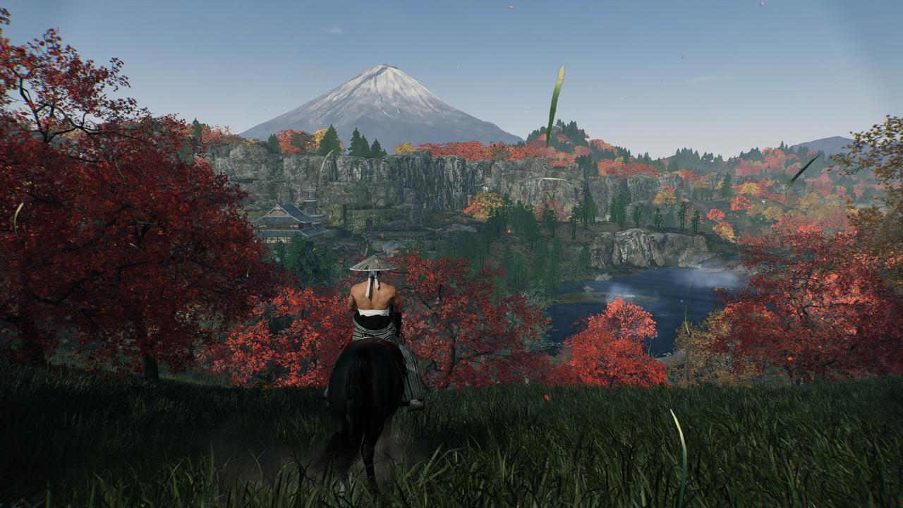 Rise of the Ronin