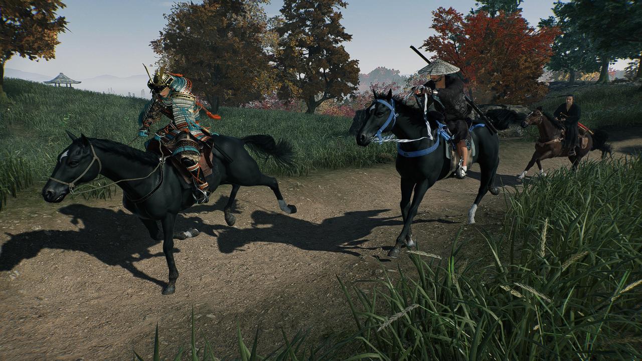 Rise of the Ronin