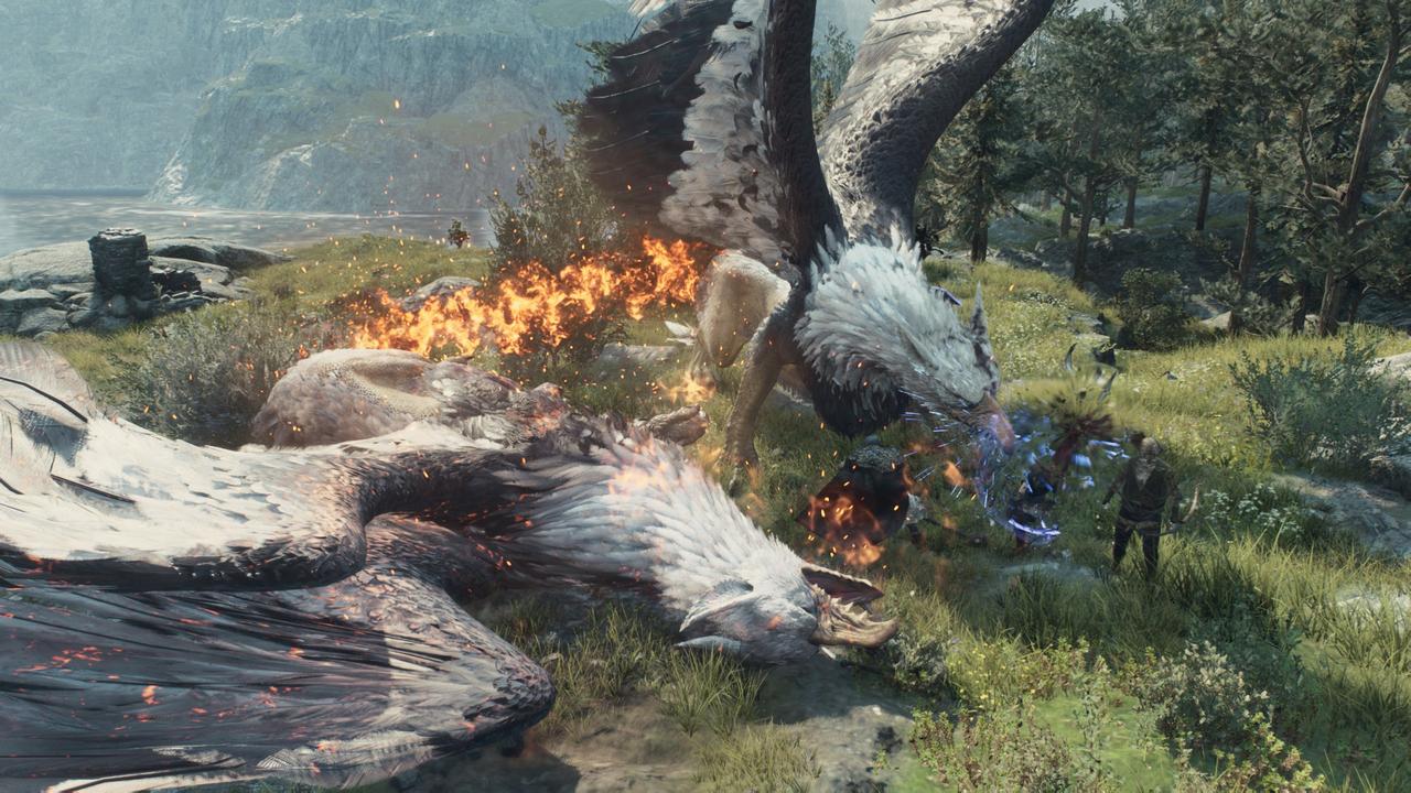 Dragon
