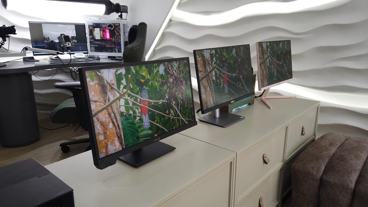 ASUS ProArt
